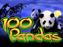 100 Pandas